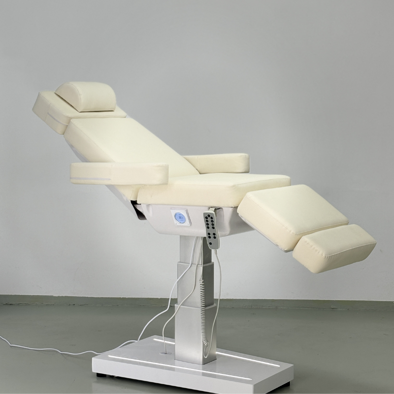 WB-6616EA Beauty Chair