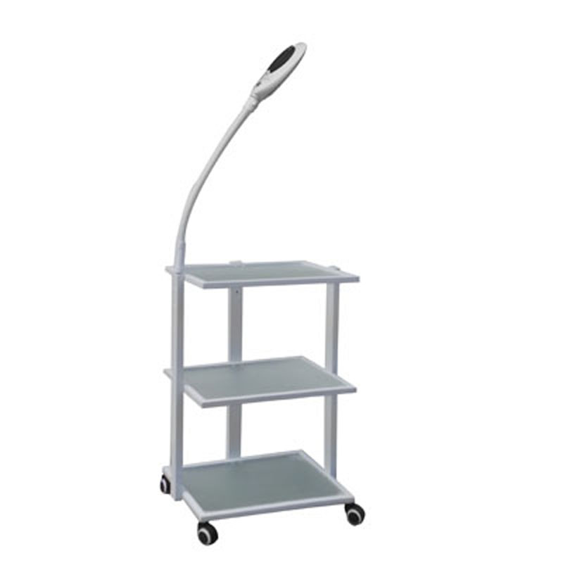 2 IN 1 Trolley & Magnifying WB-6307+663
