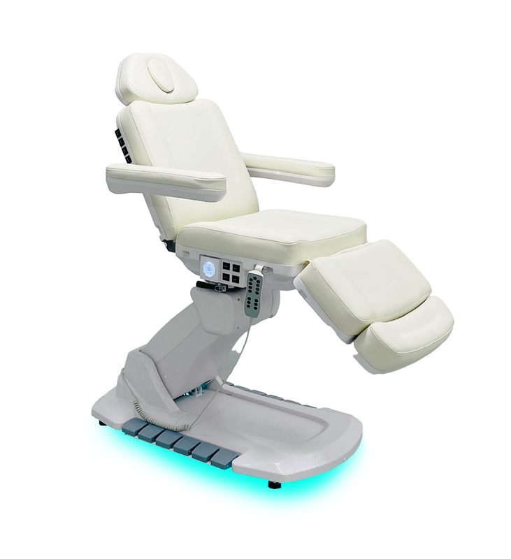New upgraded electric facial chair WB-6686