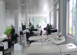   YAG Laser Beauty Machine Factory