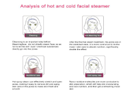 Professional cold & hot facial steam machine