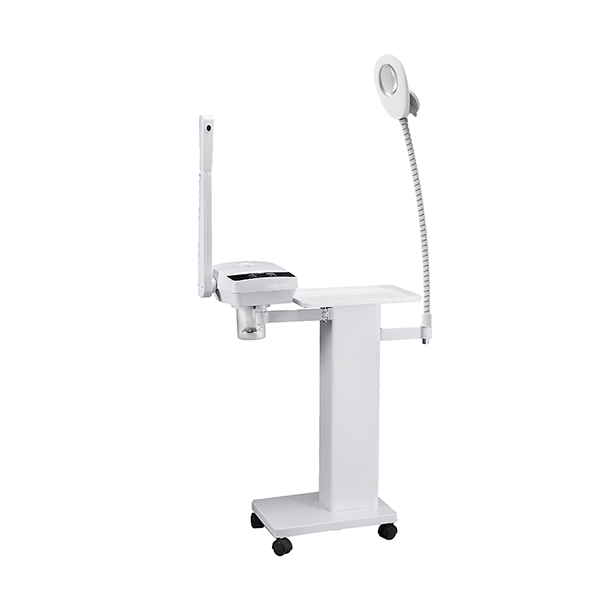 Stand Multifuction Beauty Machine F-999F